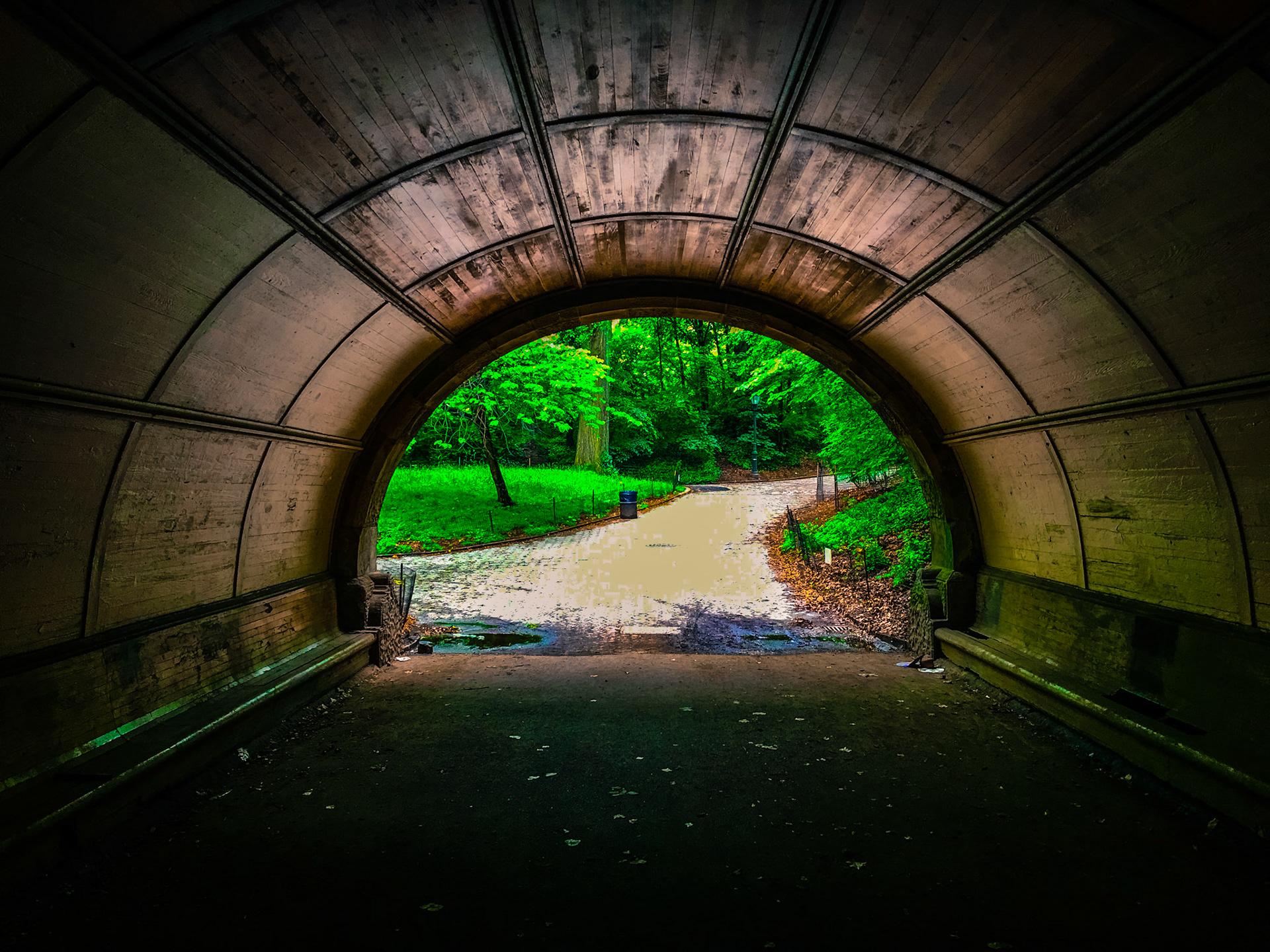 Parks & Nature album cover